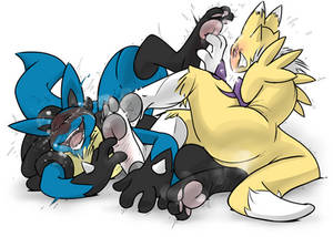 Lucario and Renamon Tickle Fight_part 1