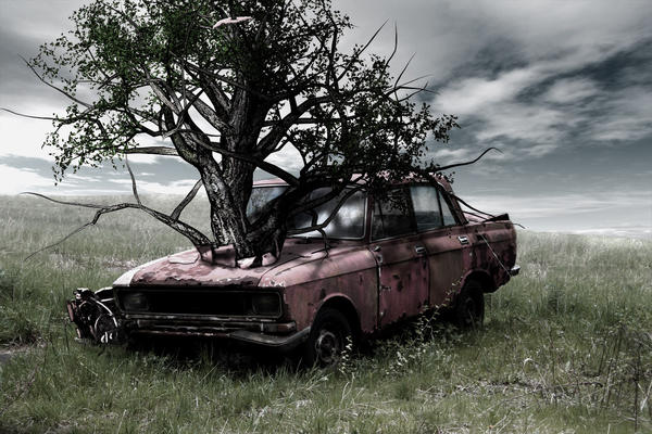 Tree Car