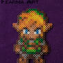 8 Bit Adult Link