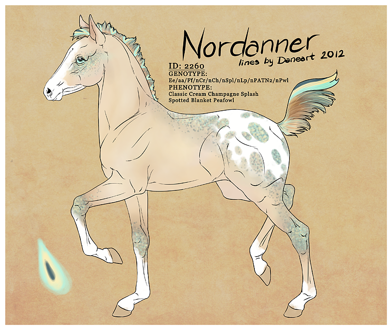 DESIGN - Nordanner Foal #2260