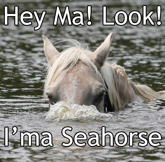 LoL Sea Horse