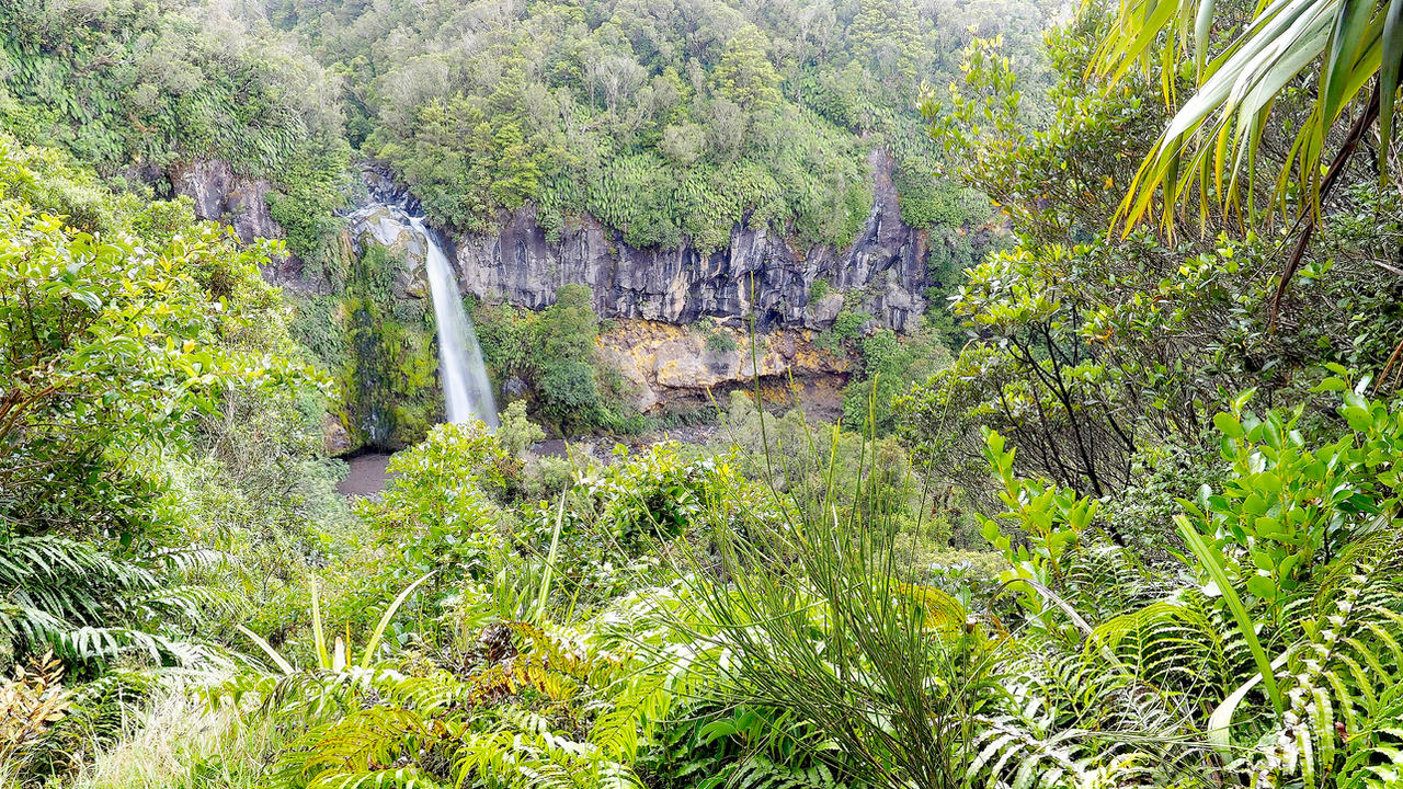 Dawsons Falls