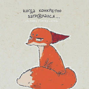 Sad  angry red fox