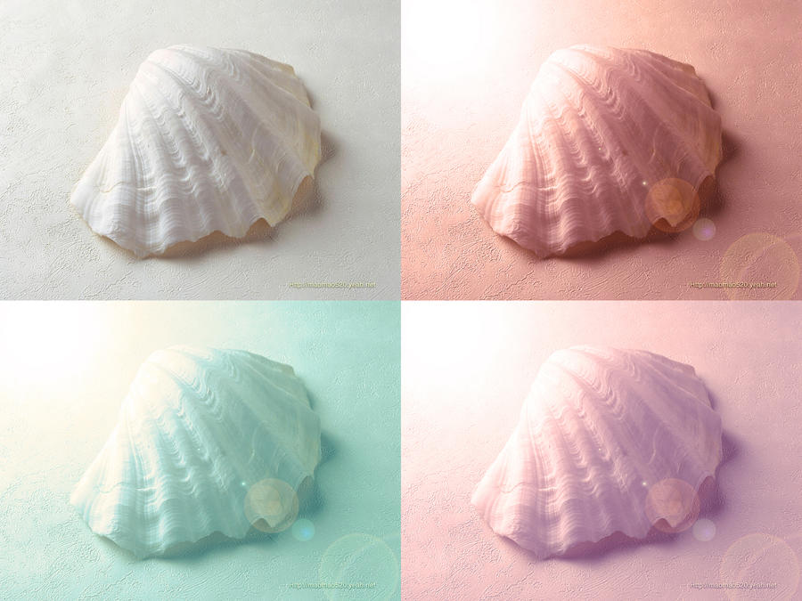 Shells Funky colorful shell by yohannastephanie on DeviantArt