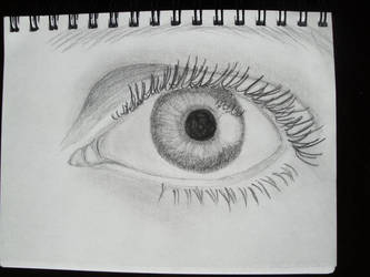 Eye