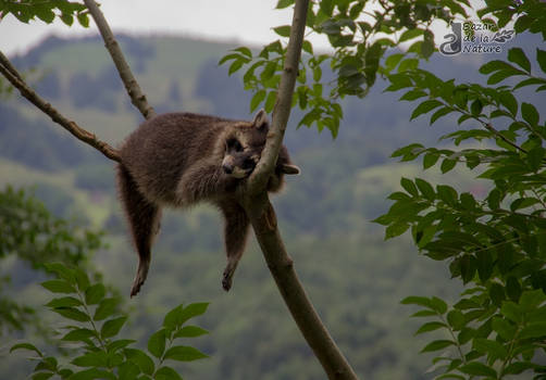 Resting in altitude