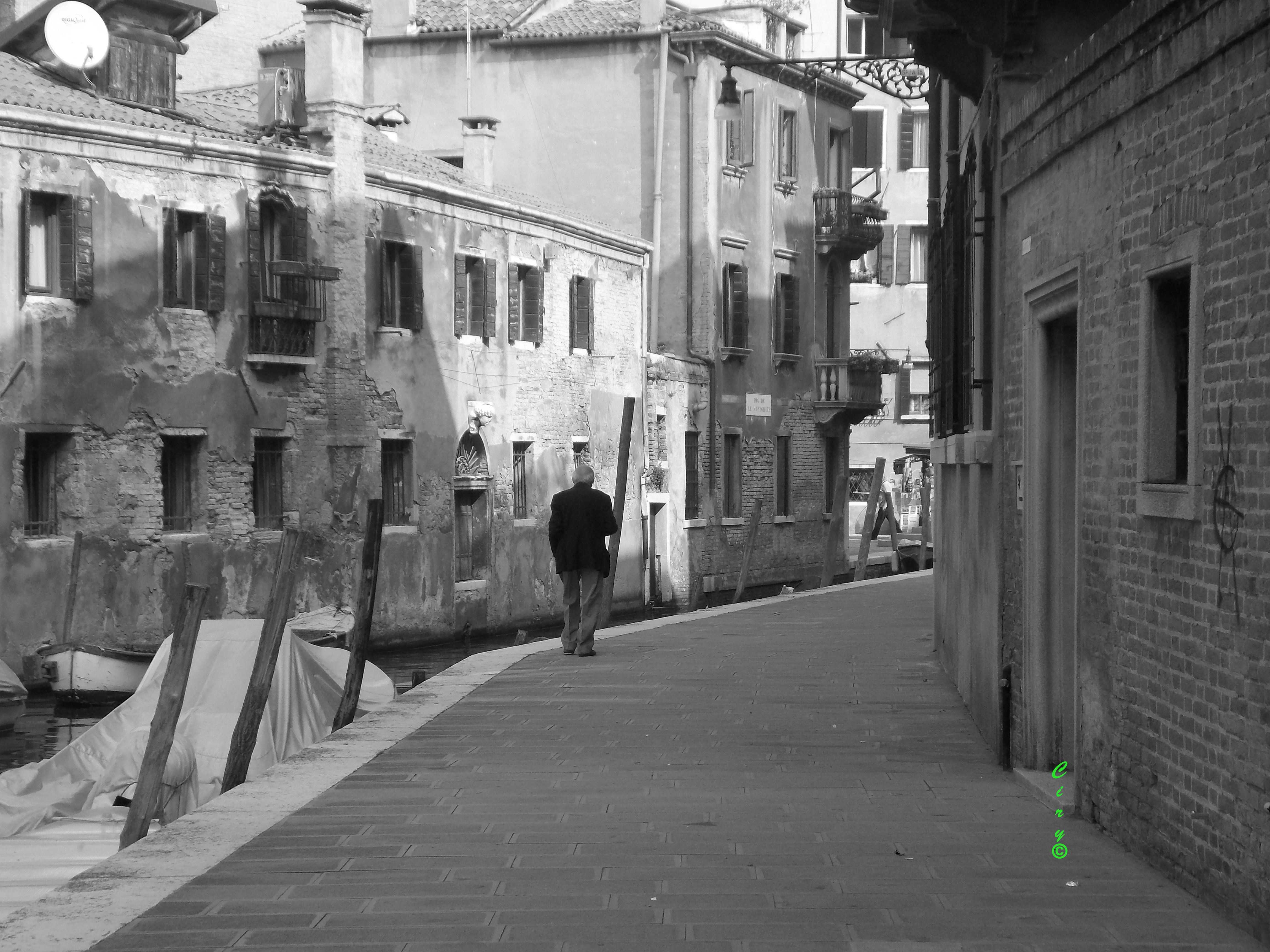 Old Man in Venice