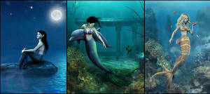 3 Mermaid Bookcovers