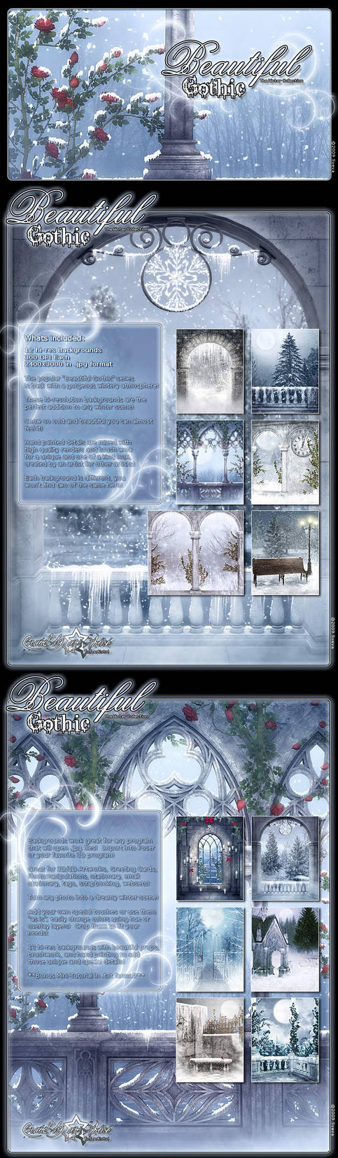 Beautiful Gothic Winter by cosmosue