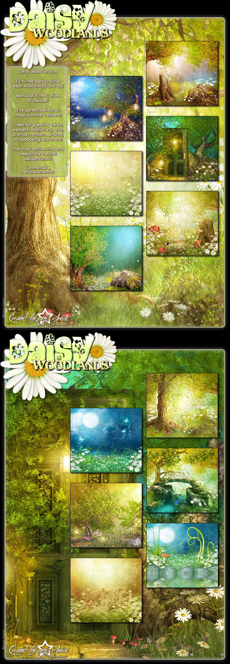 Daisy Woodlands Backgrounds