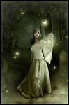 Light the Way - Revised by cosmosue