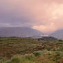 Landscape 01