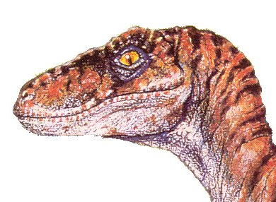 Yuri Raptor RWBY/JP - Velociraptors by Sideswipe217 on DeviantArt