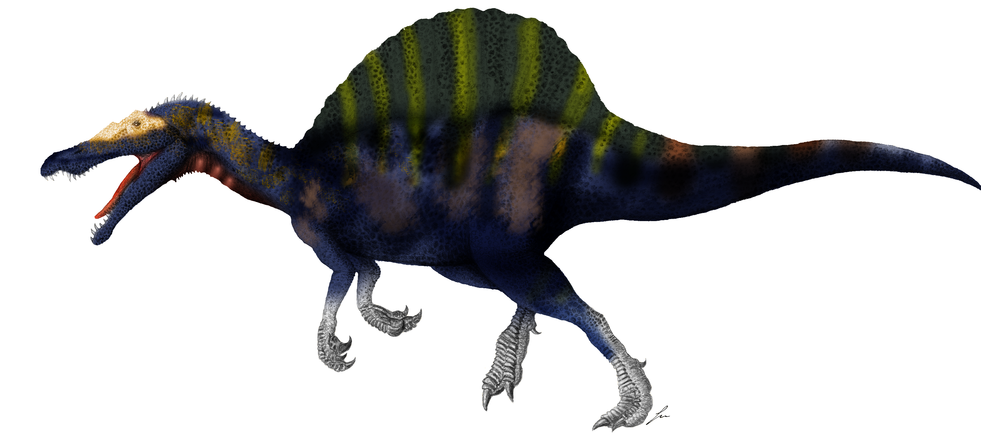 Spinosaurus aegyptiacus (Asuma17 varient)