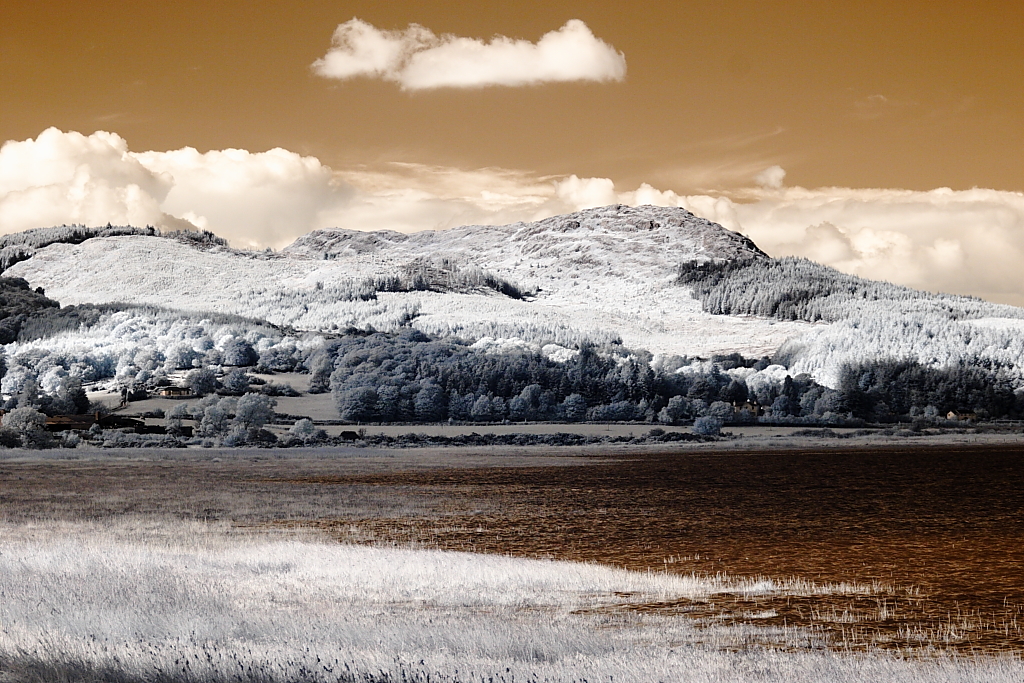 Infrared Screel, Auchencairn