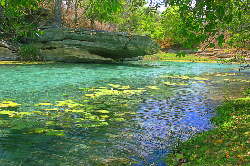 Glade, Brazil