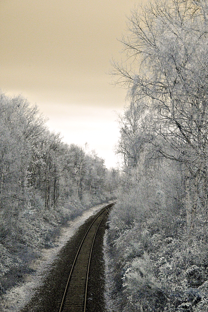 Bramhall Lane December 20