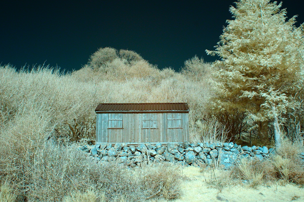 IR - Lonely Hut