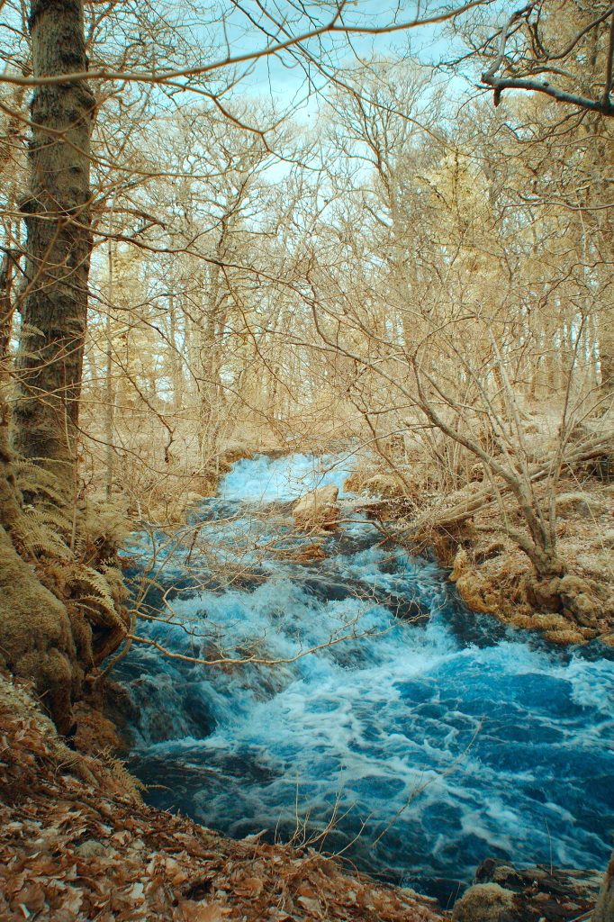 IR - Woodland Burn in Spate