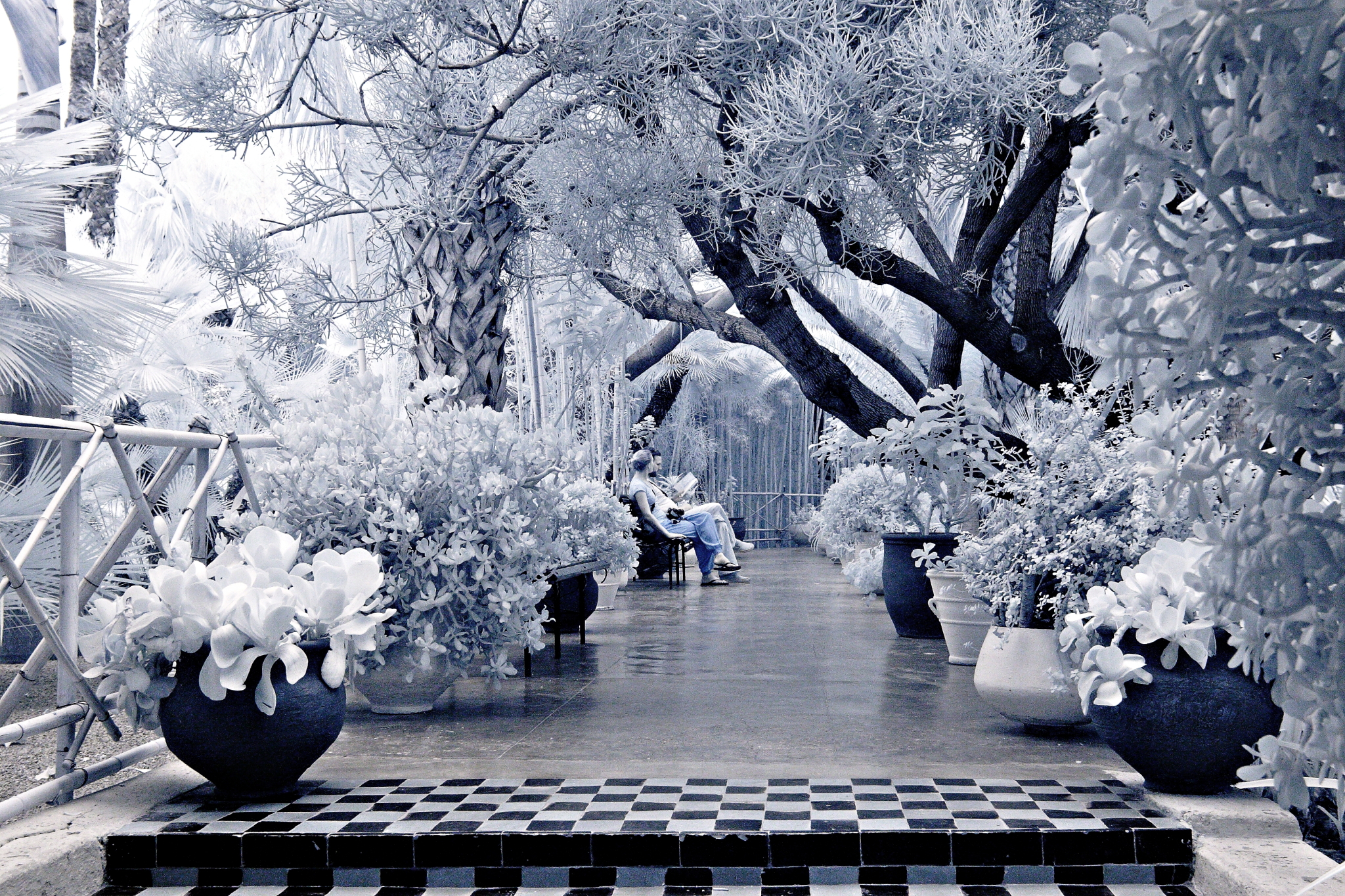 IR Morocco Majorelle Garden