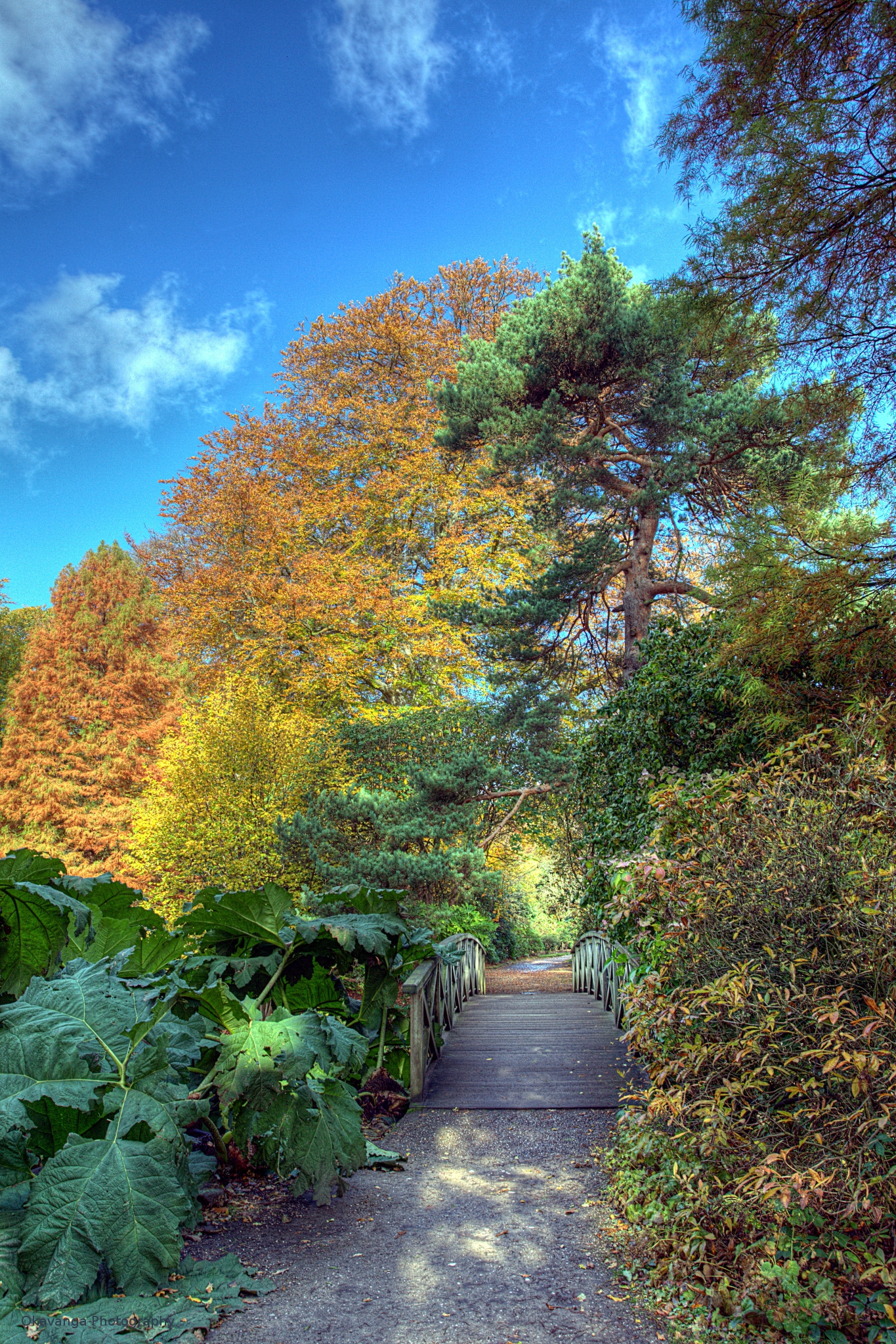 Tatton Autumn 4