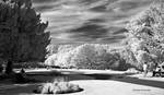 Bramhall Park IR Sky 6 by Okavanga