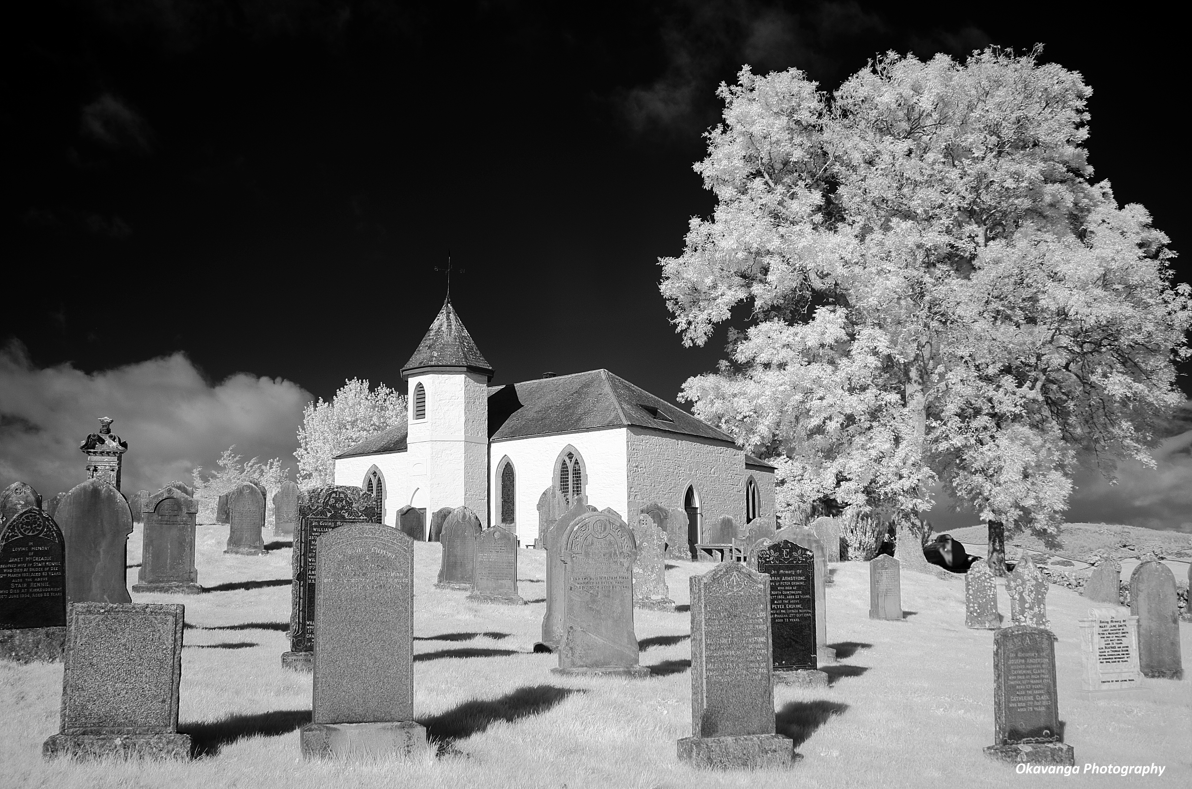 Galloway Churches - Balmaghie - The Tree