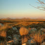 Namibian Landscape 1