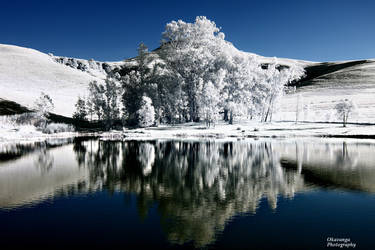 Montusi Infrared Views - Reflections by Okavanga