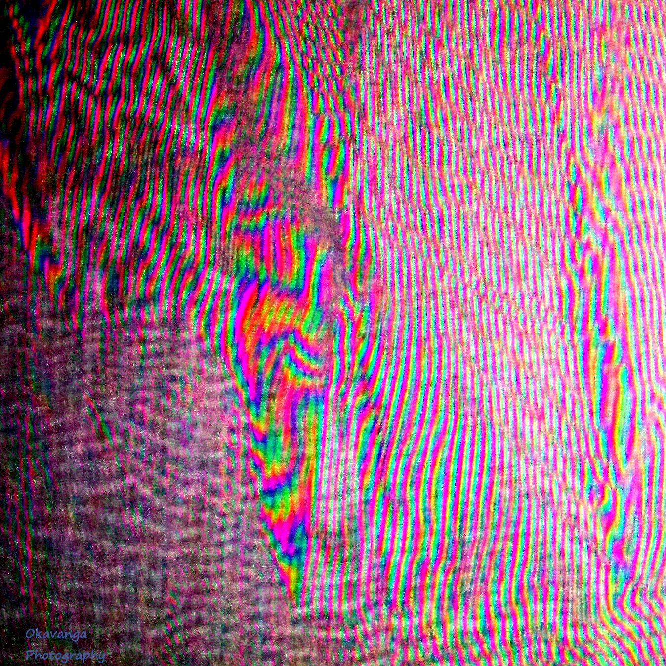 More Moire Abstracts 4