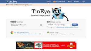 TinEye Reverse Image Search