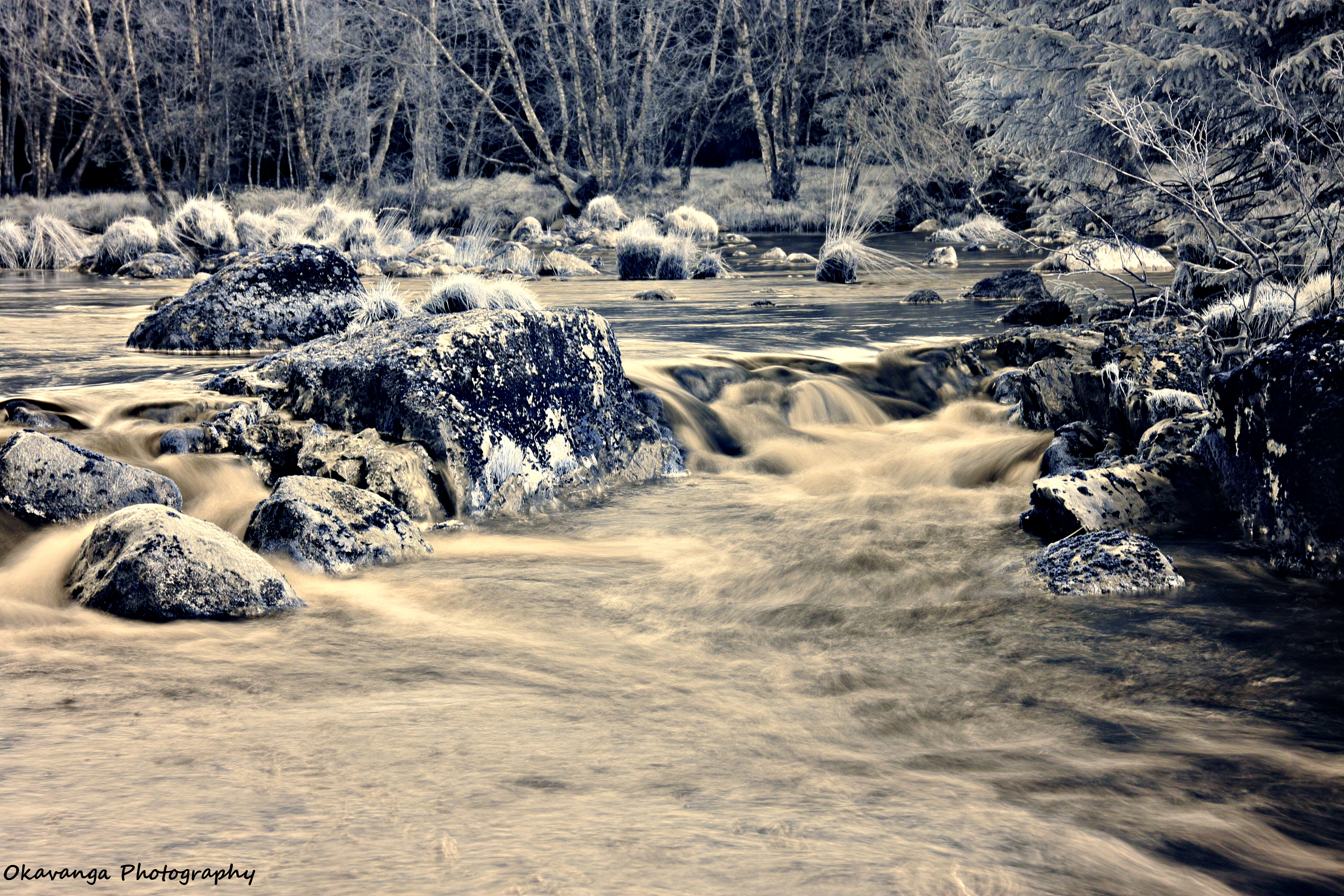 Surreal Water and Woodland 2