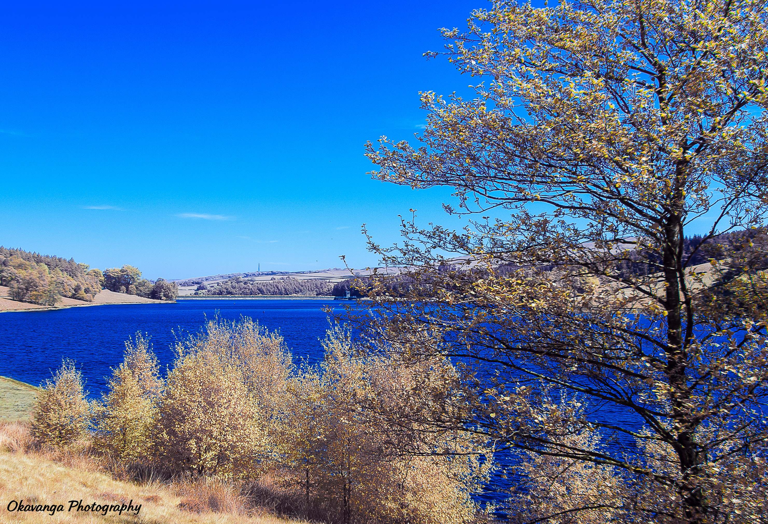 Goyt Valley Full Spectrum LR 7