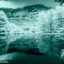 Infrared Cleopatra Lake