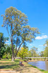 Seven Creeks, Euroa by Okavanga