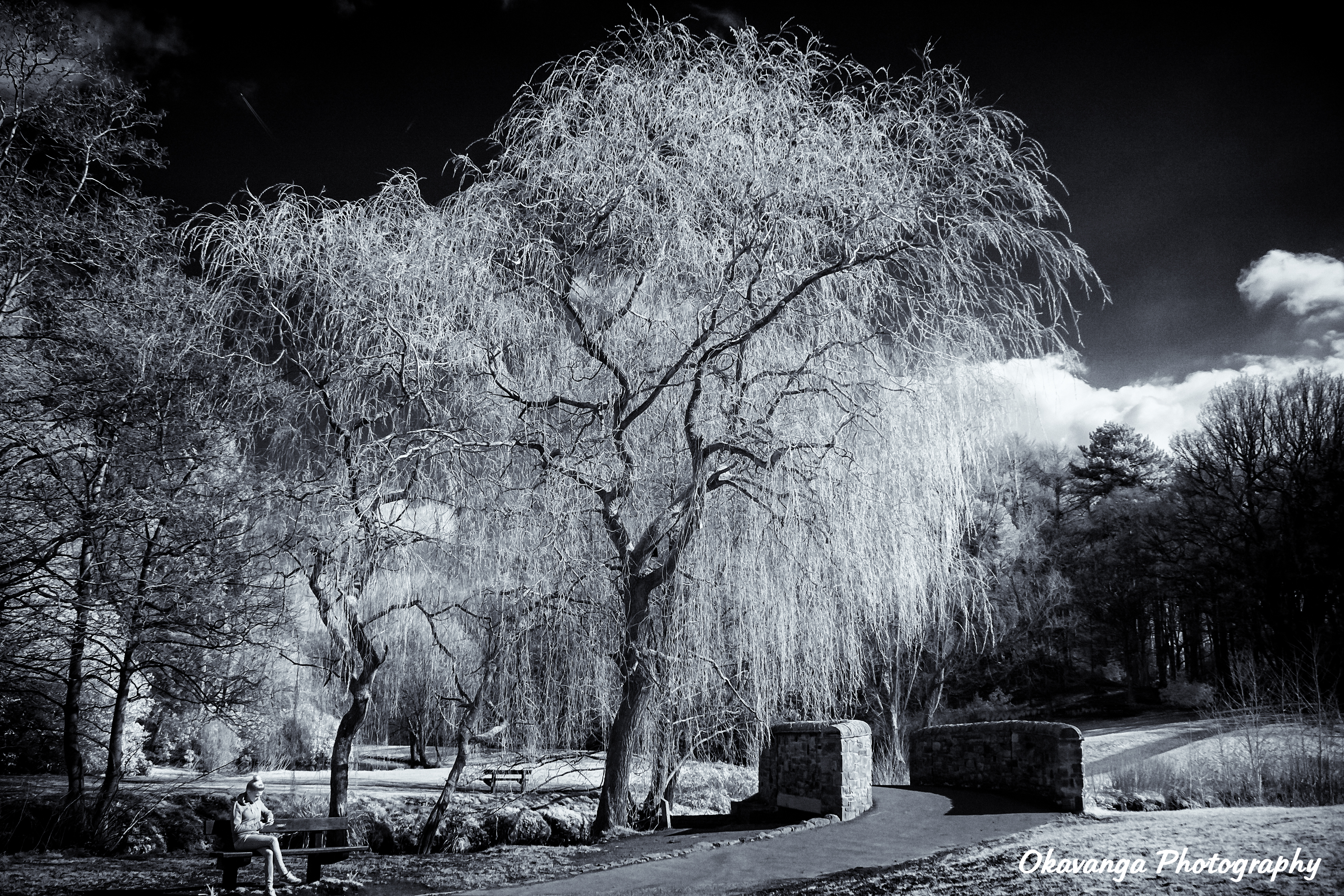 Some Infrared Reflections 1