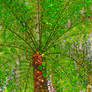 Stained Glass Fern