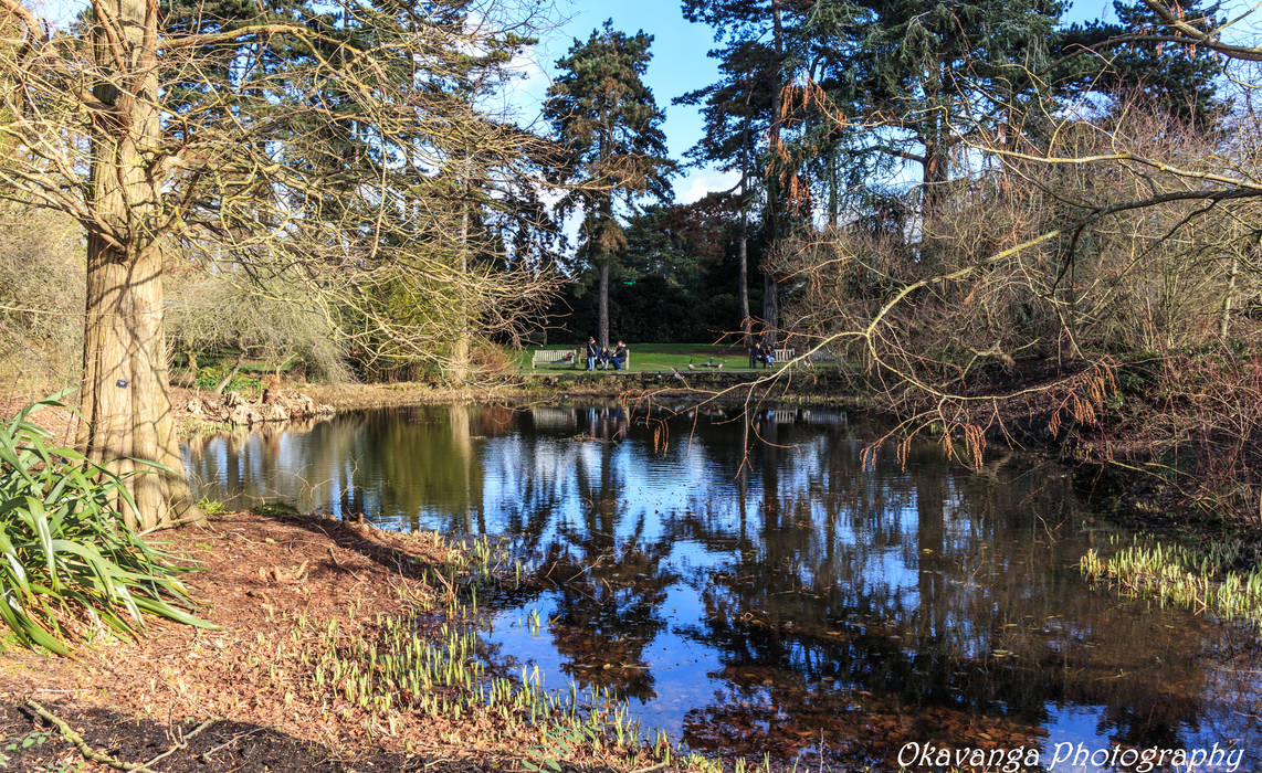 Kew Gardens - Hidden Pond by Okavanga