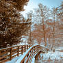 Bramhall Park in the Snow 5