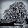 Bramhall Park in the Snow 4