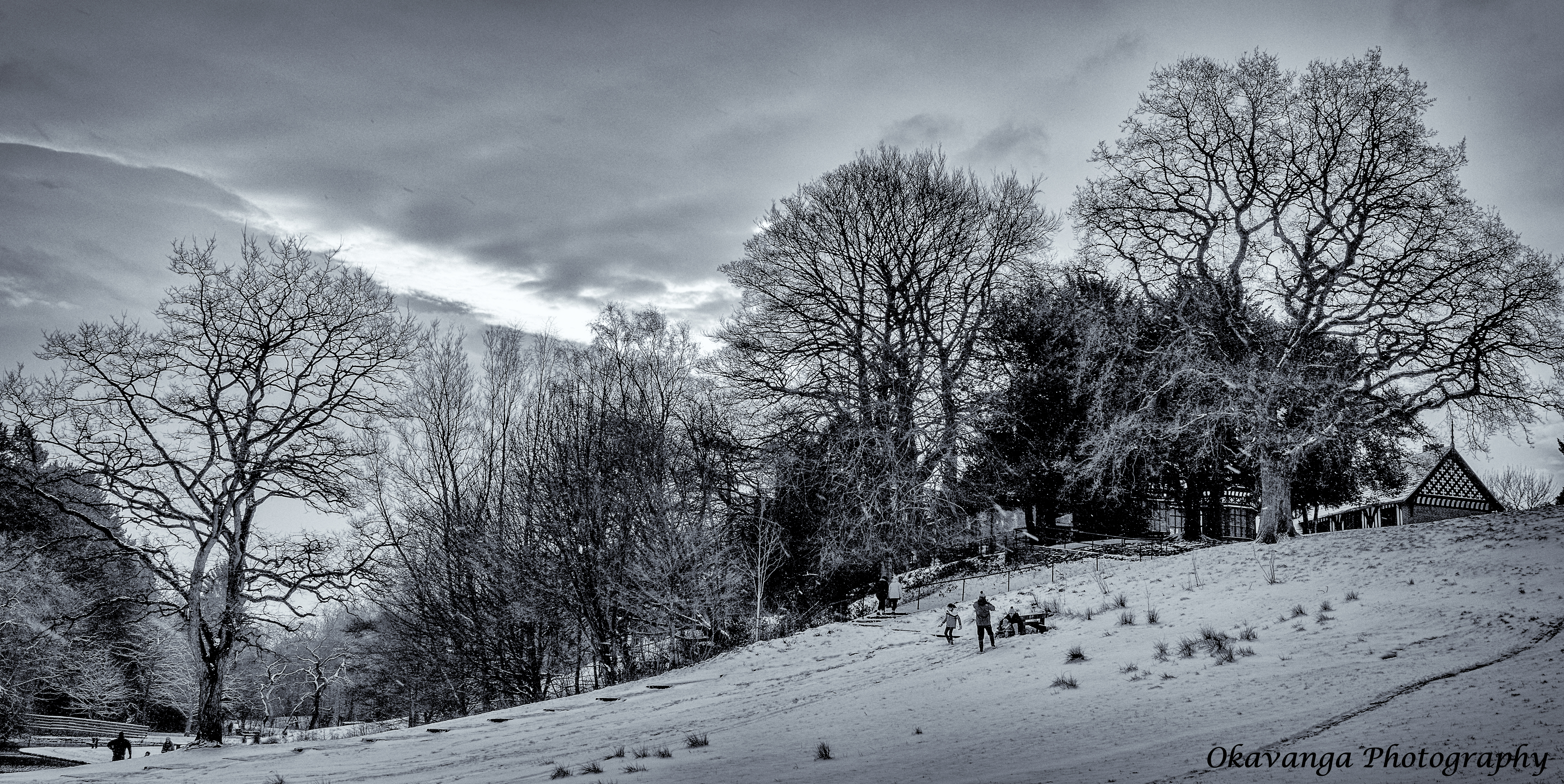 Bramhall Park in the Snow 1