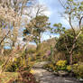 Bodnant Winter Garden Too