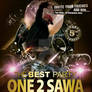 Party One 2 Sawa