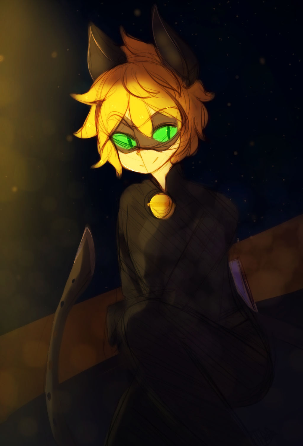 Miraculous LadyBug- Chat Noir