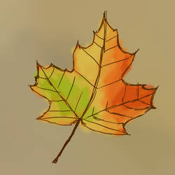 Autumn leaf