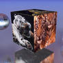 Tiger Cube