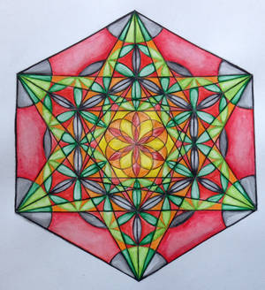 Metatron's  Cube with Flower of Life