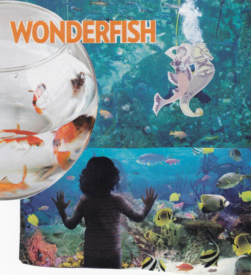 WonderFish by HozBotMer on DeviantArt