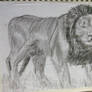 Lion sketch