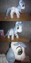 Pony Completed